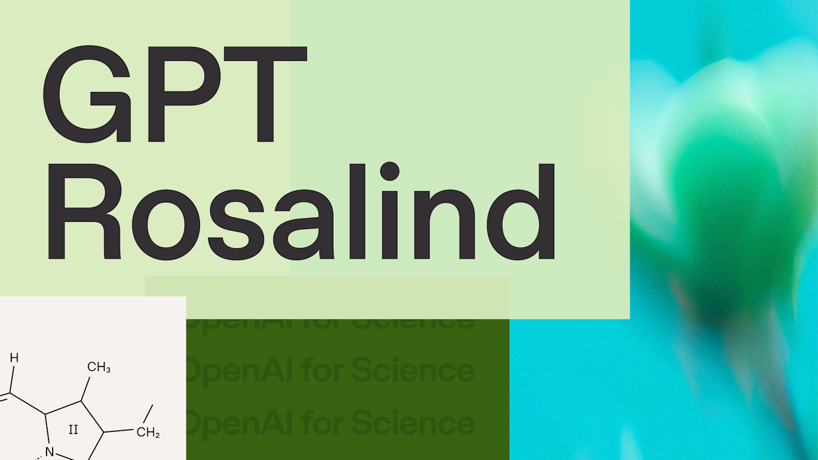 OpenAI 为 GPT-Rosalind 制作的博客题图：浅绿色背景上写有大号“GPT Rosalind”字样，下方为“OpenAI for Science”，右侧是花朵特写