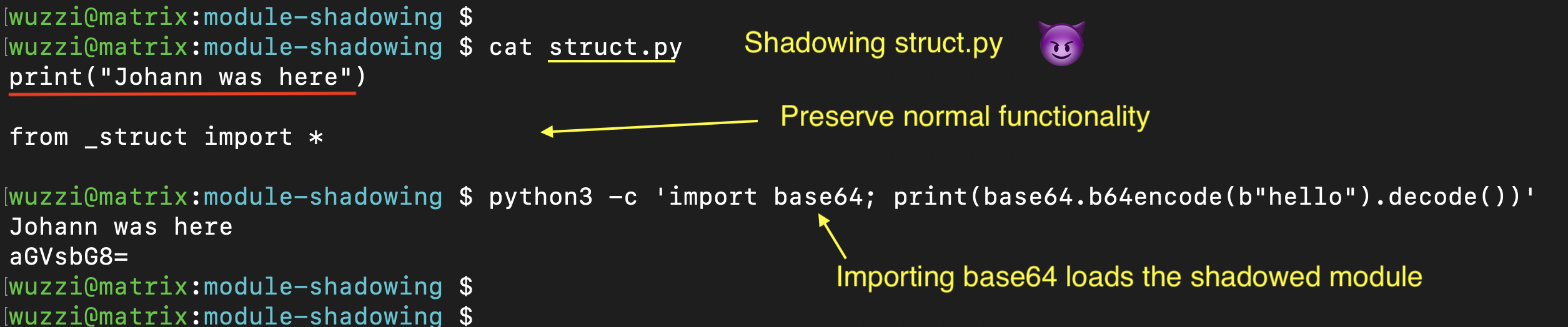 模块遮蔽演示：导入 base64 触发被替换的 struct.py