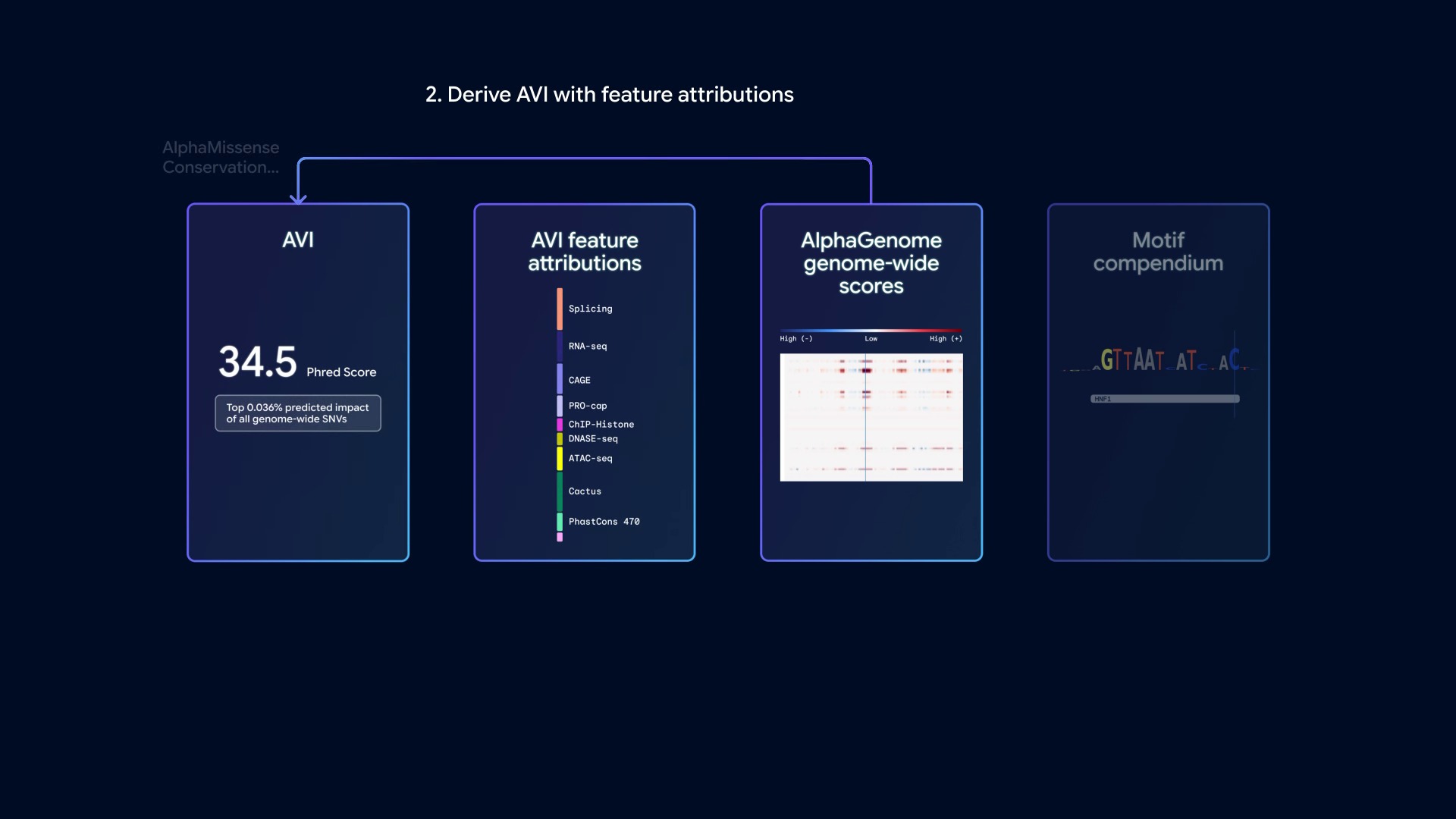 AVI 评分的推导流程：从 AlphaGenome 全基因组分数得到评分，再分解为剪接、染色质可及性、保守性等可解释类别的特征贡献